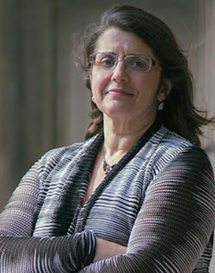 Professor Carolyn Shapiro Image